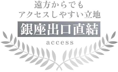 遠方からでもアクセスしやすい立地 銀座出口直結
